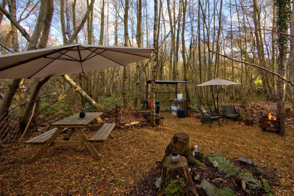 Cosy Woodland Romantic Retreat With Log Fires And Nature Sturry Exteriér fotografie