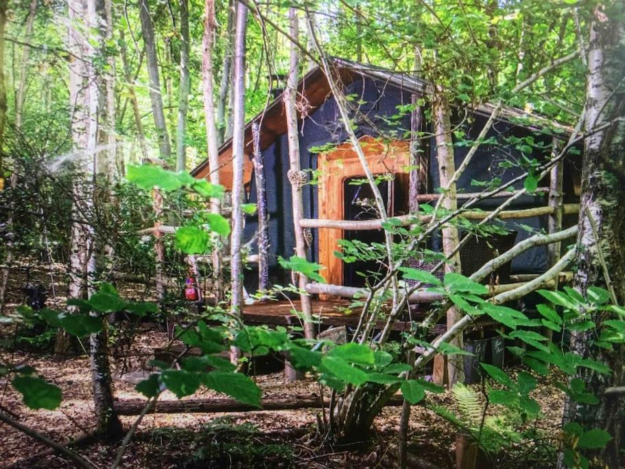 Cosy Woodland Romantic Retreat With Log Fires And Nature Sturry Exteriér fotografie