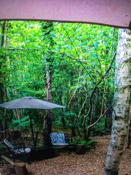 Cosy Woodland Romantic Retreat With Log Fires And Nature Sturry Exteriér fotografie