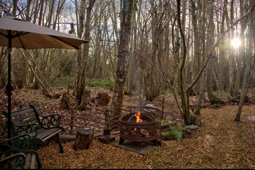 Cosy Woodland Romantic Retreat With Log Fires And Nature Sturry Exteriér fotografie