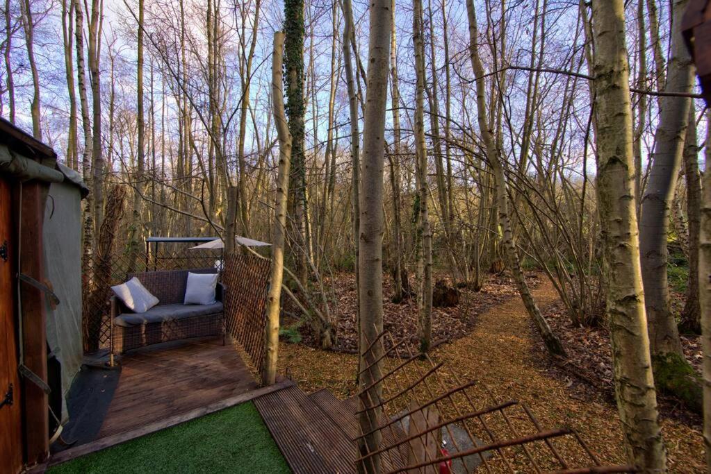 Cosy Woodland Romantic Retreat With Log Fires And Nature Sturry Exteriér fotografie